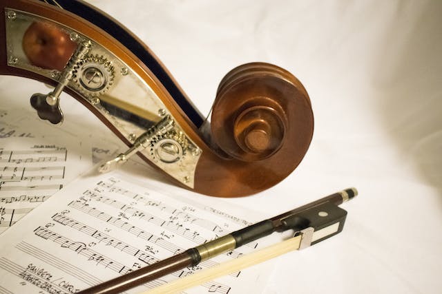 Armonii și vibrato: Instrumentele muzicale cu coarde